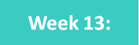 Week13