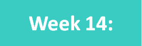 Week14