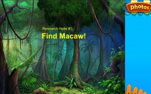 photo minigame