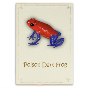 frog card (1)