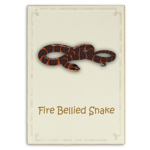 snake card (1)