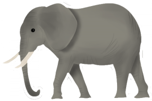 elephant-icon