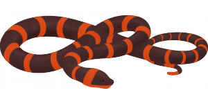 snake