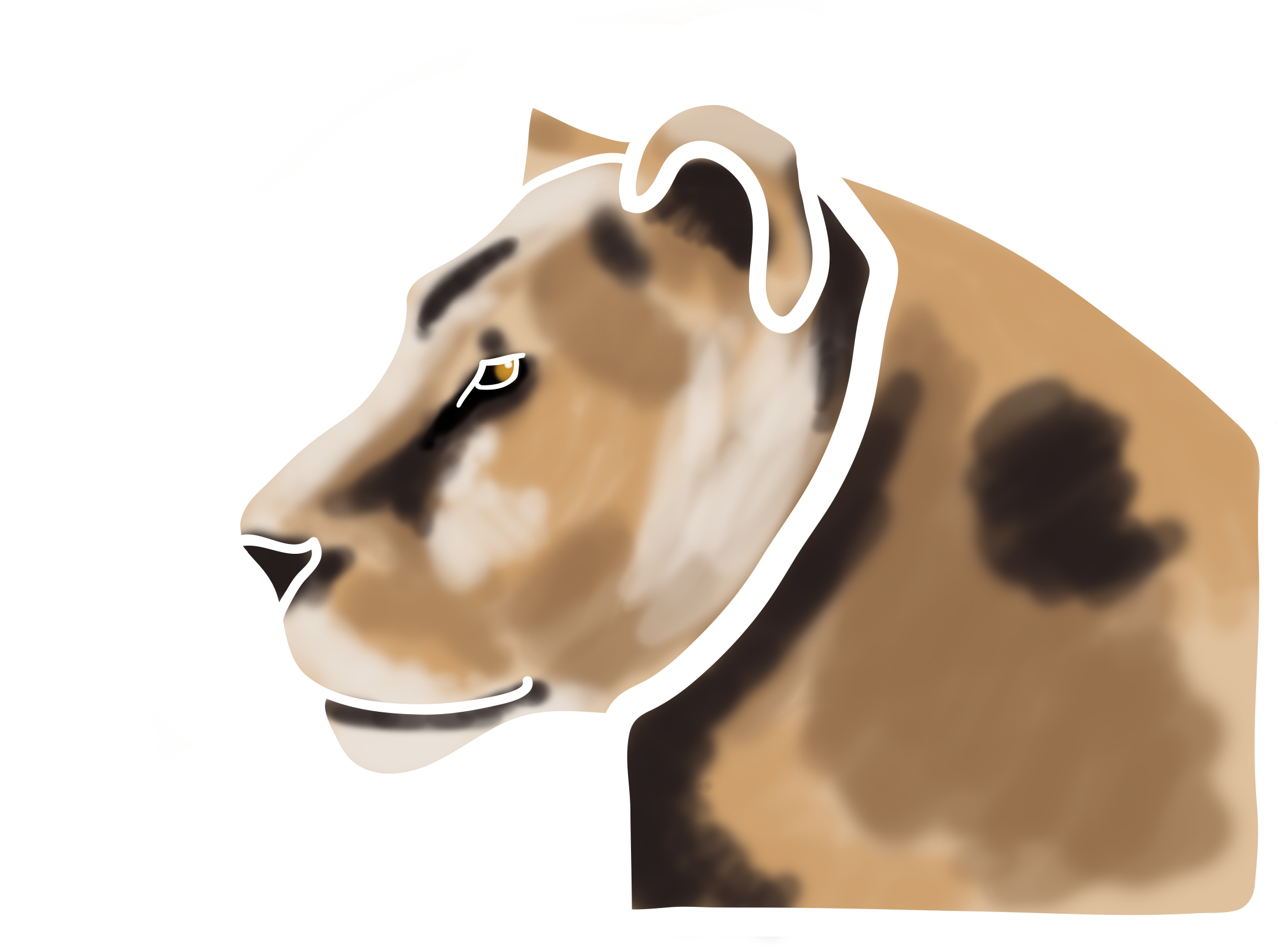 Lioness_Profile_Concept