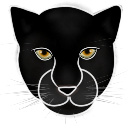 Panther_Face_Concept