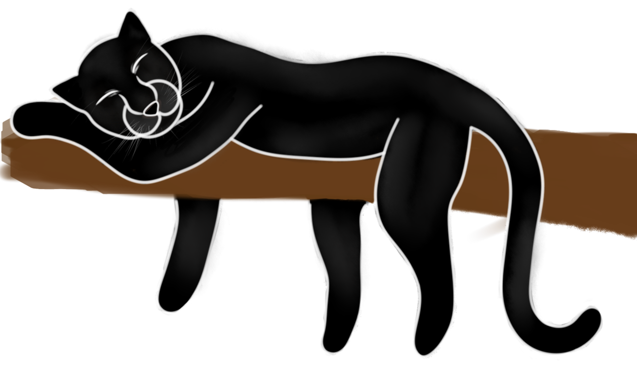 Panther_Sleeping_Concept