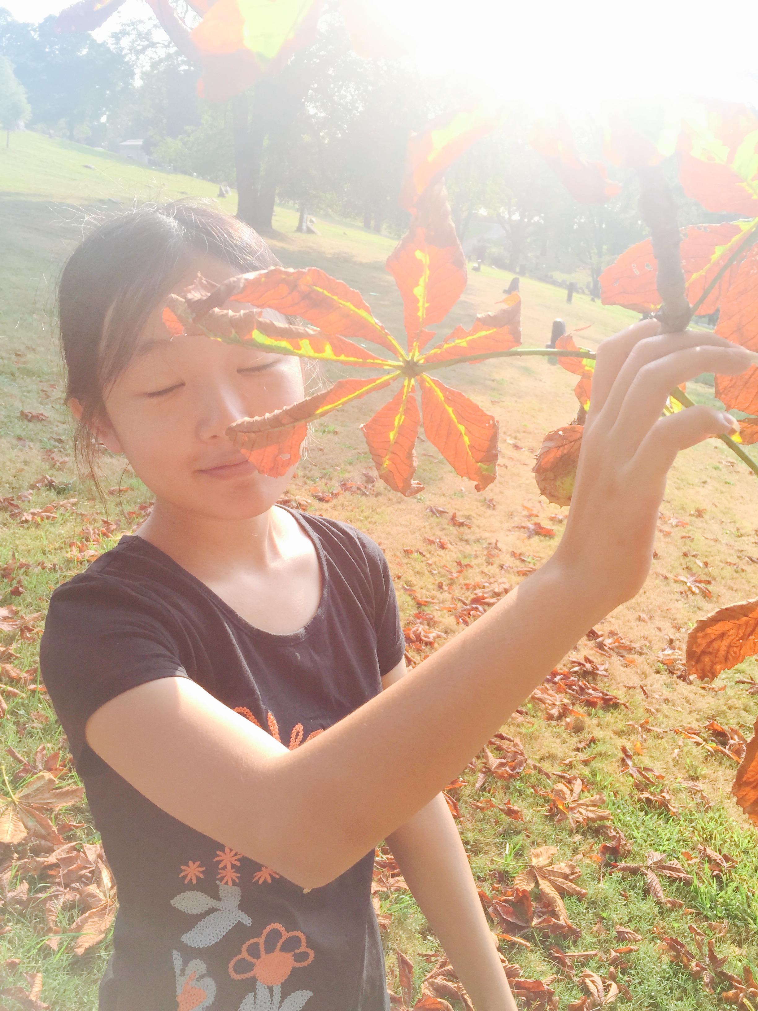 Jiawen Liang