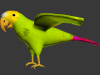 parrot_green