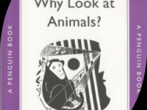 Why look at animals?