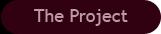 The Project