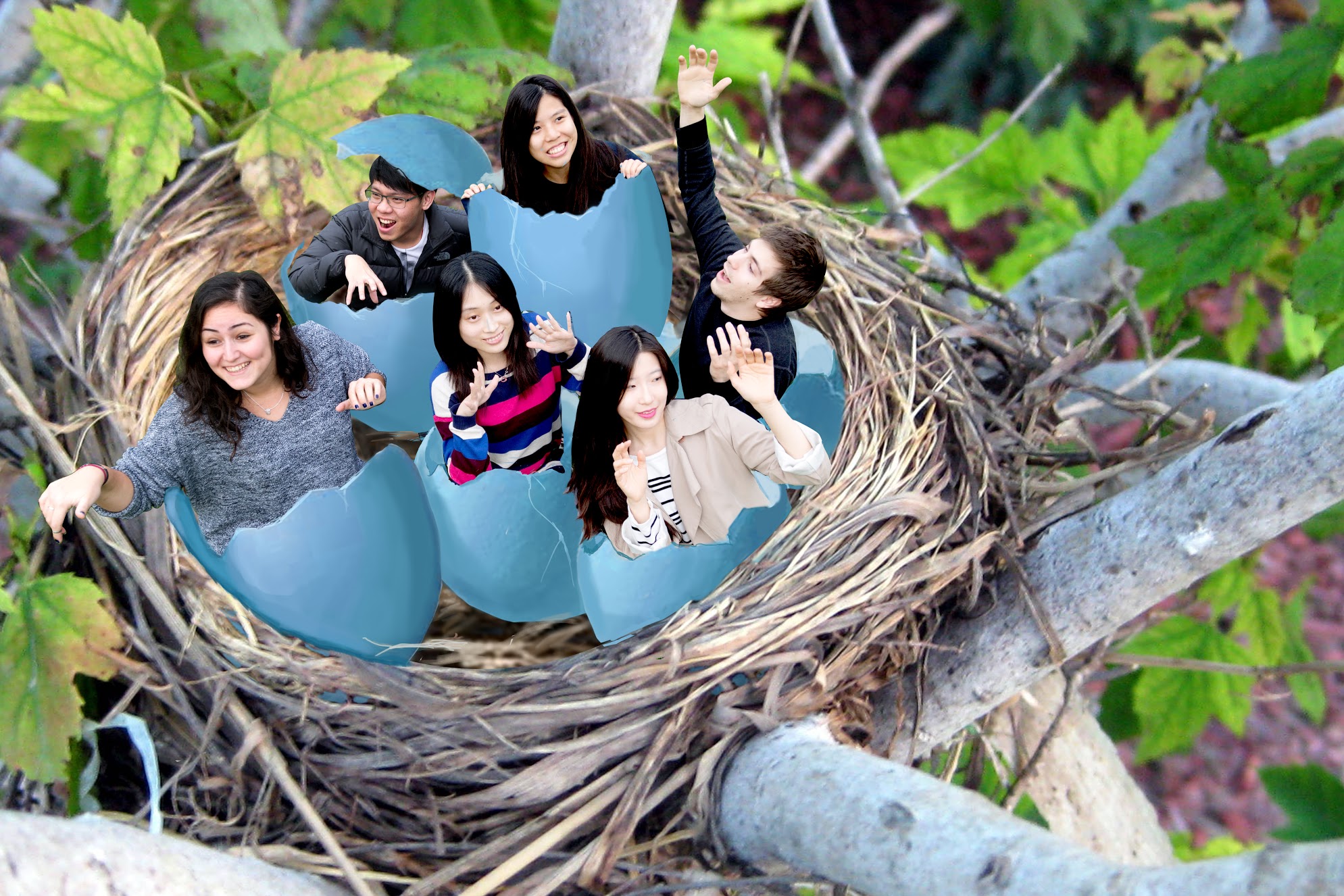Thunder Egg Team Photo