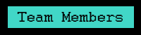 team members
