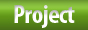 Project