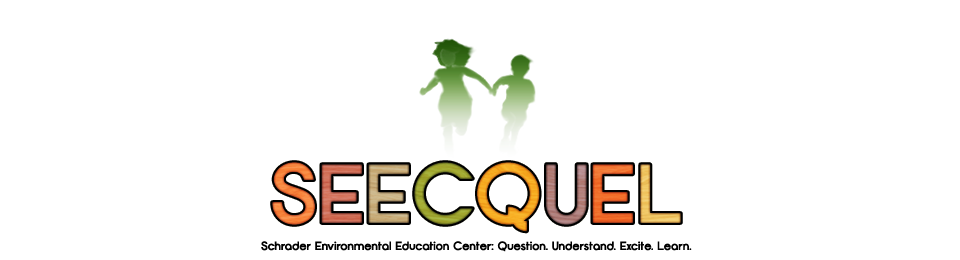 SEECQUEL