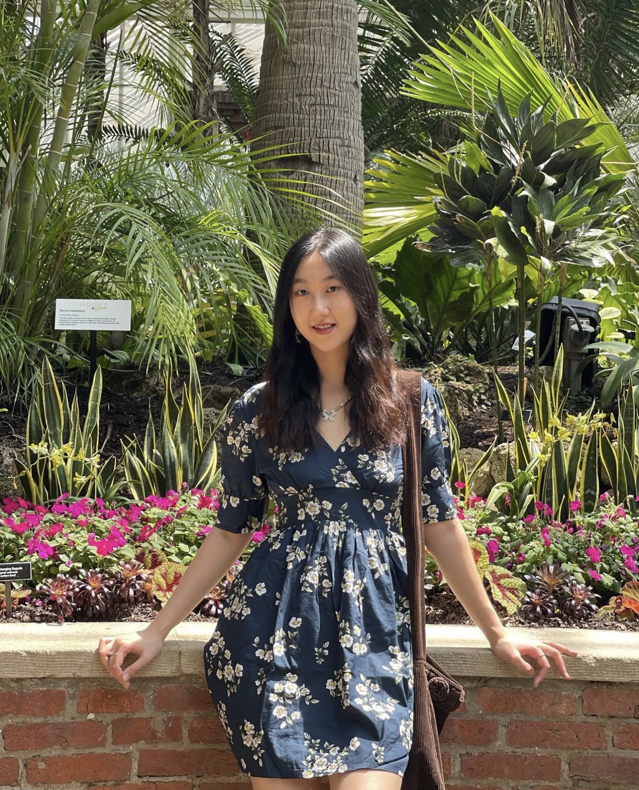 Bella Liu