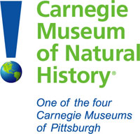 carnegie-museum-of-natural-history