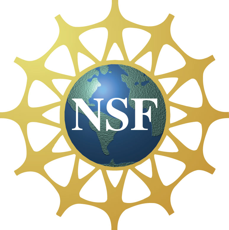 national-science-foundation